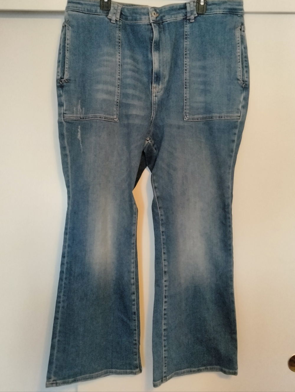 Anthropologie Pilcro "THE ICON" Jeans 24W